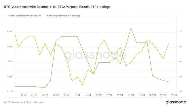 为什么持有多头头寸的比特币交易者可能会认为 BTC的跌势是短暂的