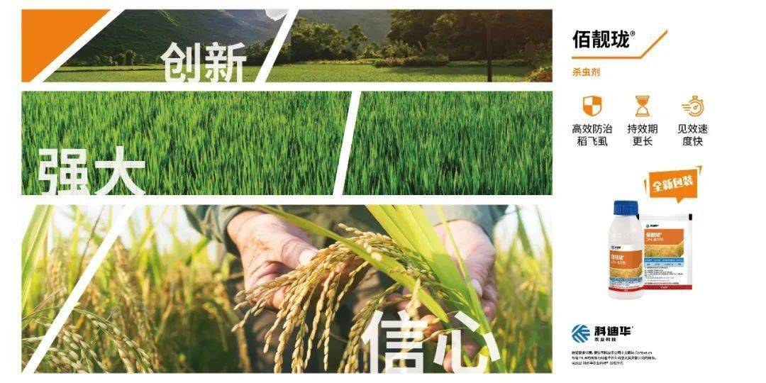 今日尿素价格<strong></p>
<p>btc价格今日行情</strong>，全线下跌！竟然跌成了这样！7月1日最新价格行情
