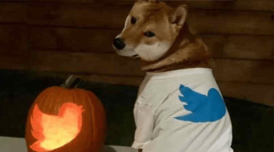 马斯克成功收购推特<strong></p>
<p>doge币行情</strong>，数字资产提前入春？
