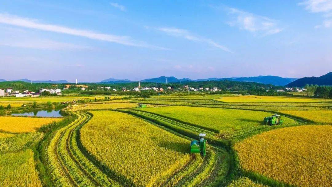 今日尿素价格<strong></p>
<p>eth价格今日行情</strong>，集体“大幅”上涨！11月11日尿素行情