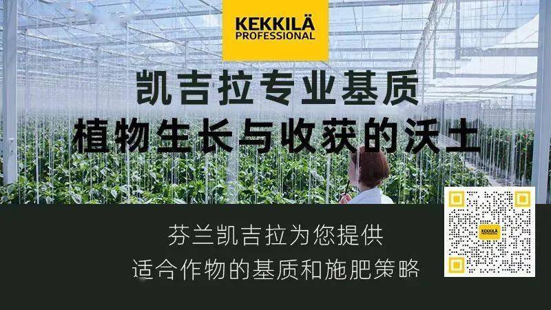 最新<strong></p>
<p>eth价格今日行情</strong>，没停！今日尿素价格，继续上涨！11月17日全国尿素价格行情