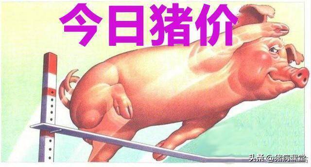 今日生猪价格｜雪中送炭<strong></p>
<p>比特币价格今日的价格</strong>，寒潮助力，生猪价格全面反弹