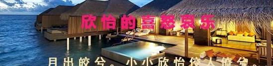 这5种狗价格低<strong></p>
<p>狗币的今日价格</strong>，又好养活，想养狗的朋友赶快行动起来