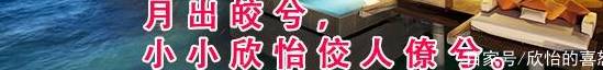 这5种狗价格低<strong></p>
<p>狗币的今日价格</strong>，又好养活，想养狗的朋友赶快行动起来