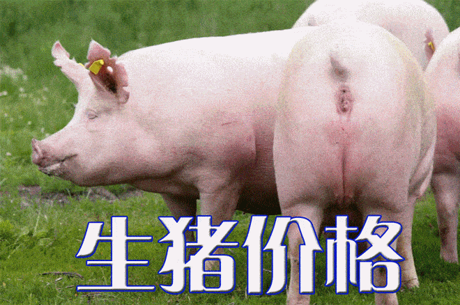 今日生猪价格｜全国生猪价格稳中略有涨跌<strong></p>
<p>比特币价格今日行情</strong>，行情不温不火