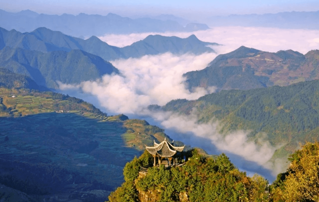 <strong></p>
<p>股票中的转派送</strong>你的春日好景正在派送中……