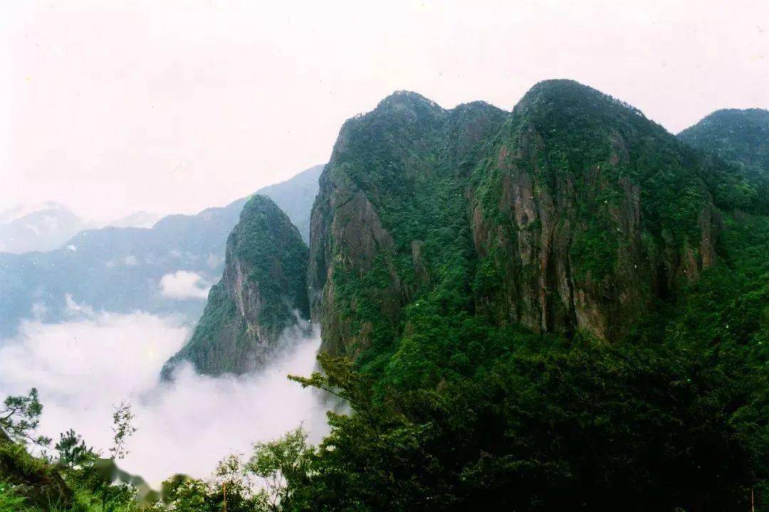 <strong></p>
<p>股票中的转派送</strong>你的春日好景正在派送中……
