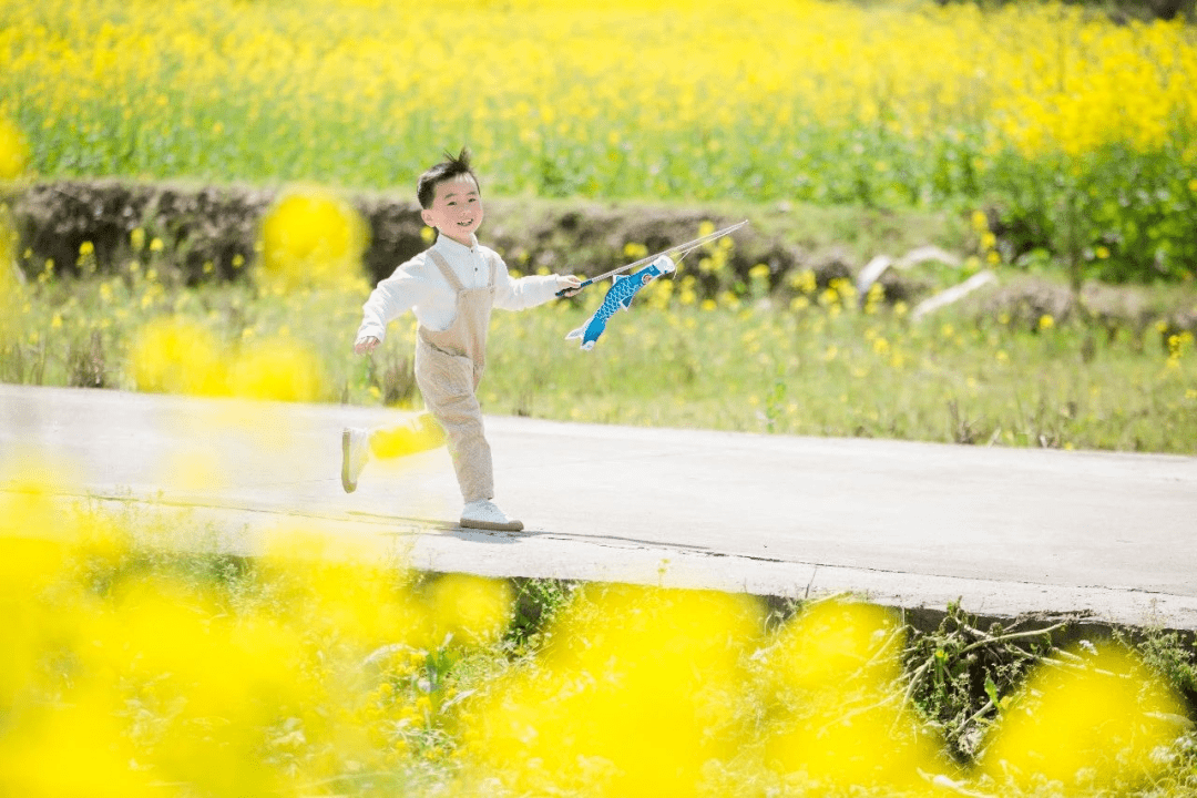<strong></p>
<p>股票中的转派送</strong>你的春日好景正在派送中……