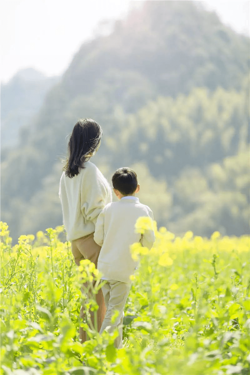 <strong></p>
<p>股票中的转派送</strong>你的春日好景正在派送中……