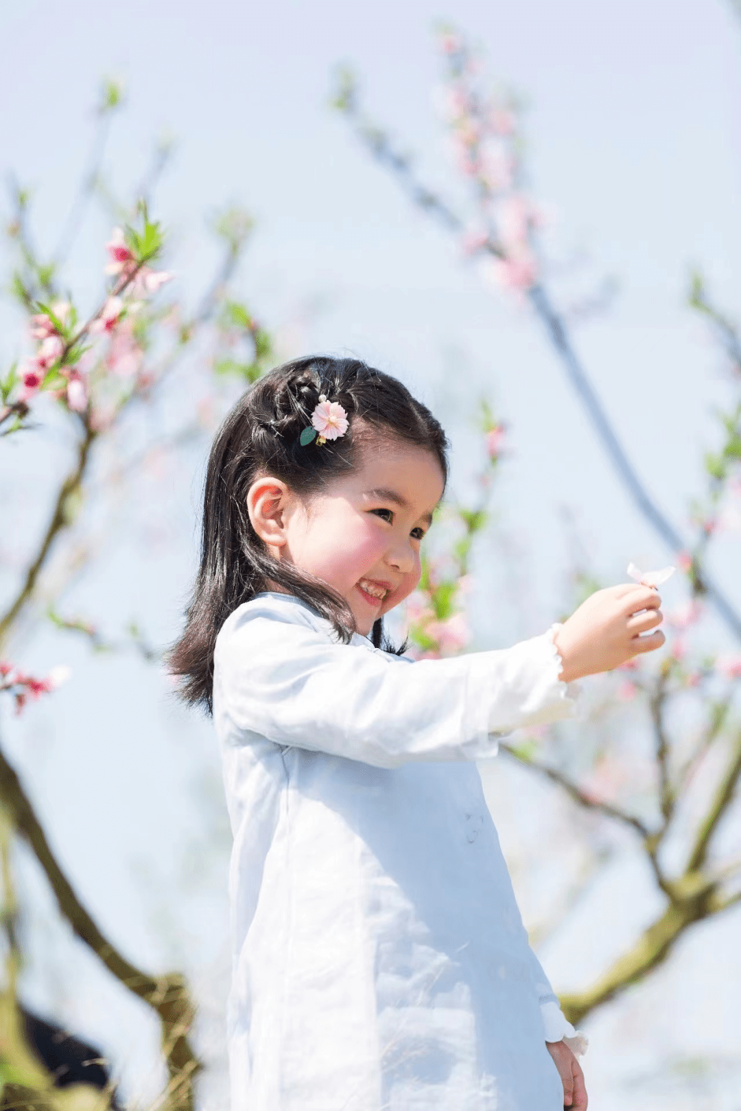 <strong></p>
<p>股票中的转派送</strong>你的春日好景正在派送中……