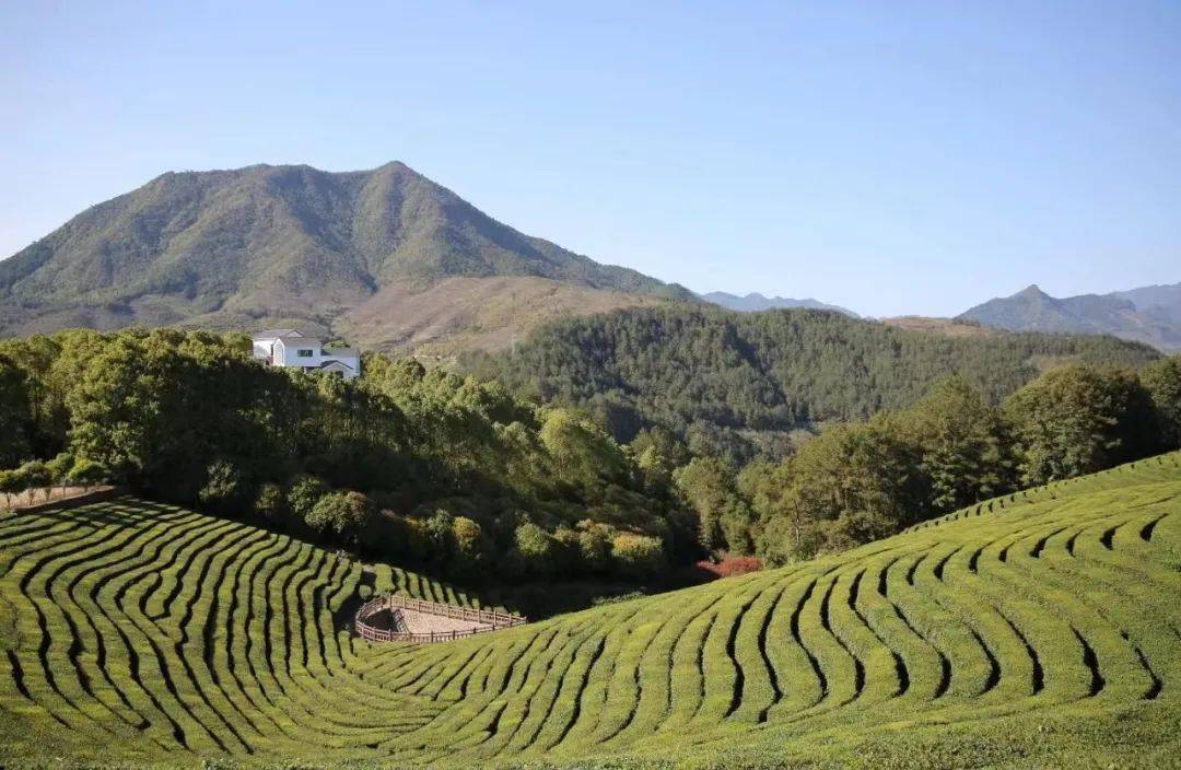 <strong></p>
<p>股票中的转派送</strong>你的春日好景正在派送中……