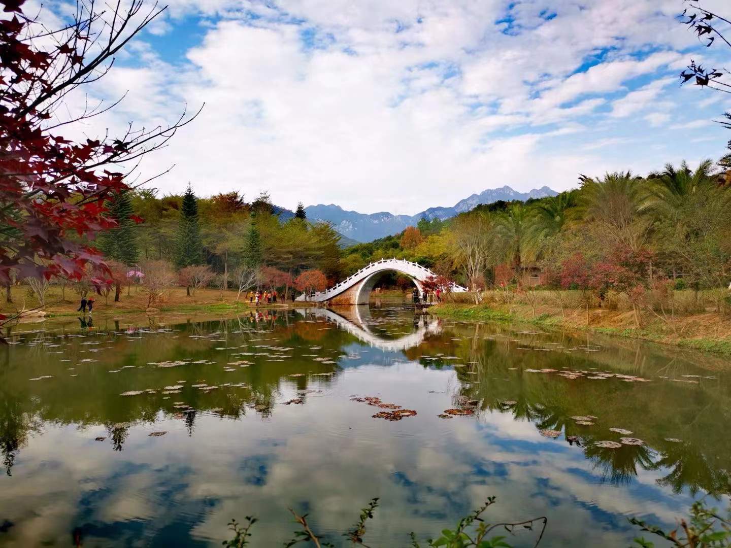 北向资金净买入超120亿<strong></p>
<p>qfii股票</strong>，外资“限购线”该不该取消了？