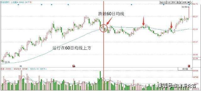 中国股市真正赚钱的人：如何耐心持有大牛股<strong></p>
<p>股票派股该怎么操作</strong>，不懂请不要炒股