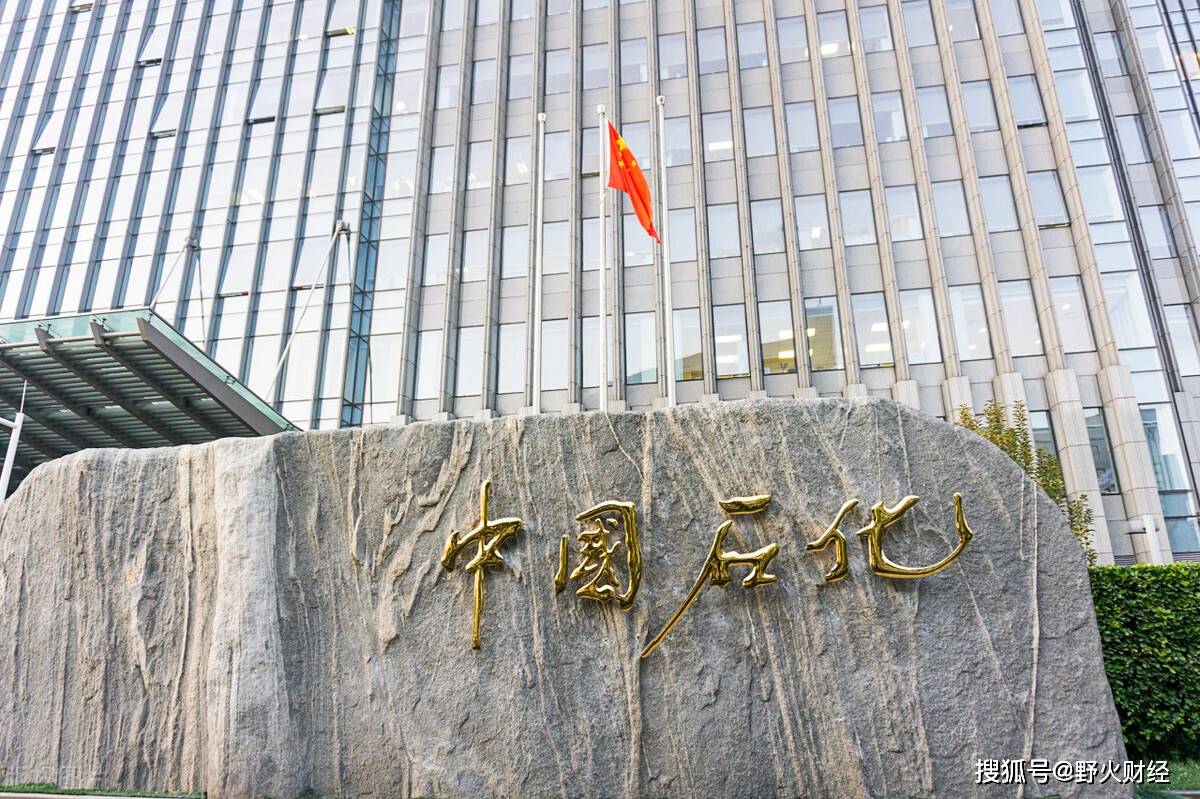 中国石化利润下滑<strong></p>
<p>增股分红账务处理</strong>，中石化集团又出手，超级牛散豪赚1亿？