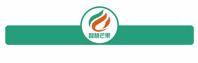 明确了<strong></p>
<p>增股分红账务处理</strong>！自办的食堂费用没有发票怎么办？