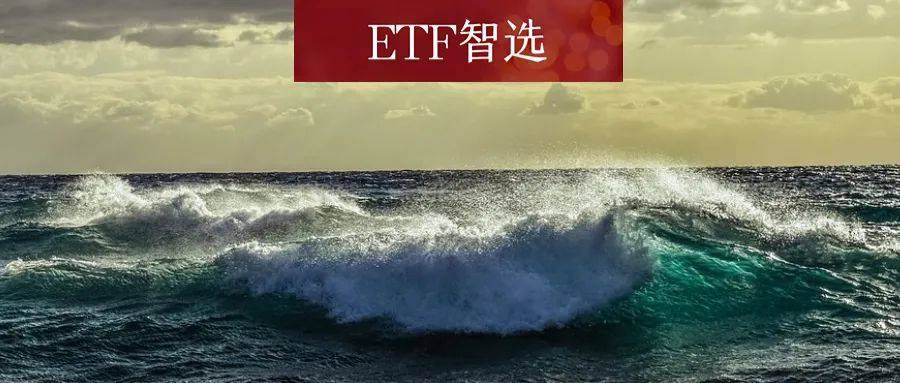 股息率高、年化高、回撤小，这个指数有点猛<strong></p>
<p>2014年 股息高股票</strong>。。。