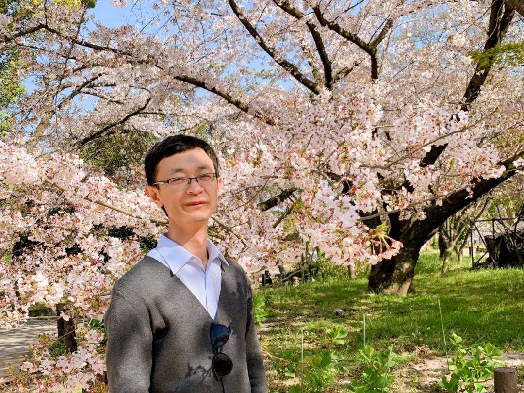 苏大制备超纯绿色有机发光二极管<strong></p>
<p>贵金属溶液</strong>，已申请PCT专利进行成果孵化