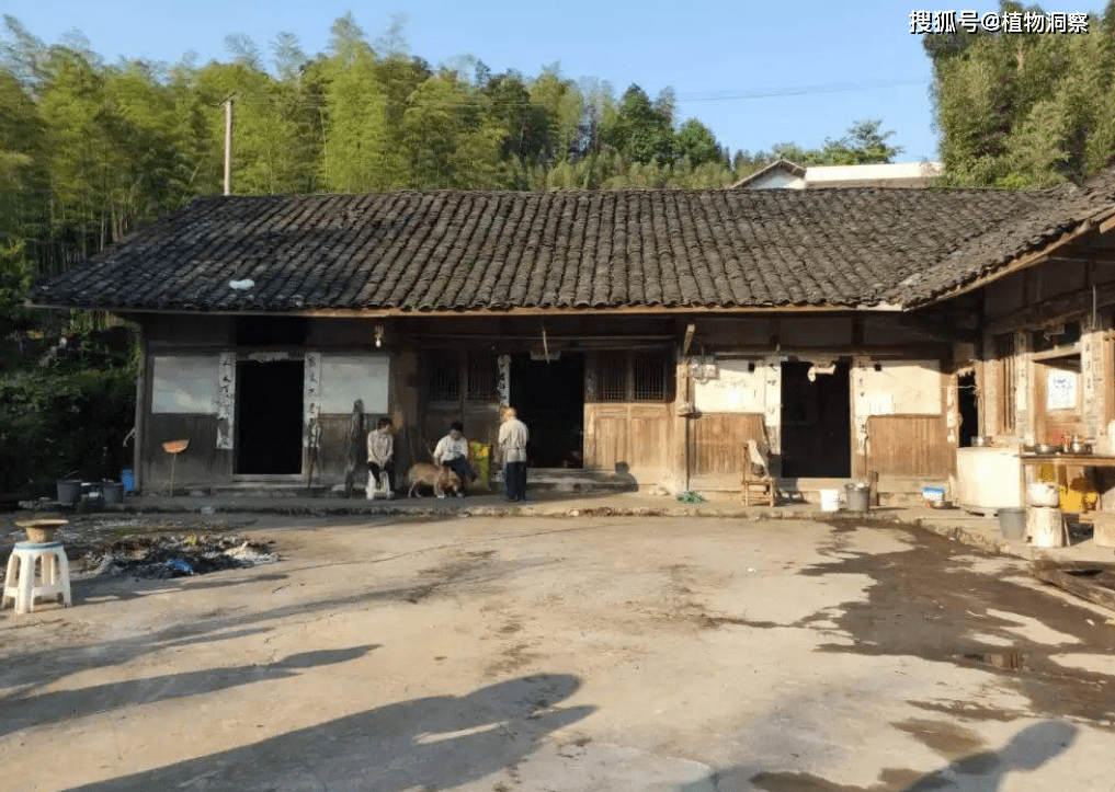 农村宅基地可以交易？咋回事？一起来看看<strong></p>
<p>贵金属交易咋回事</strong>！