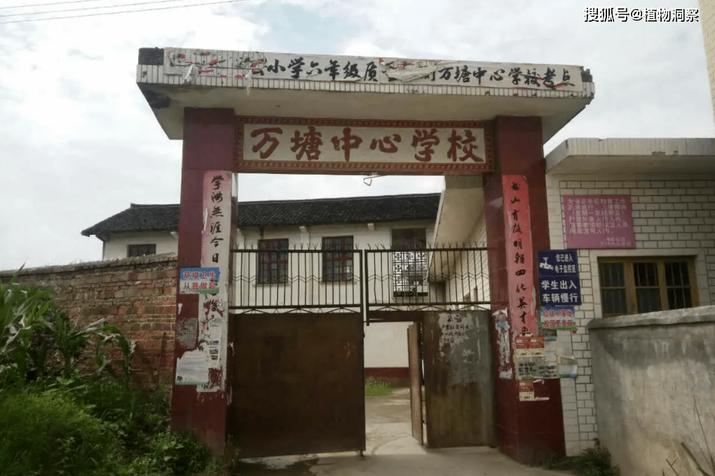 农村宅基地可以交易？咋回事？一起来看看<strong></p>
<p>贵金属交易咋回事</strong>！