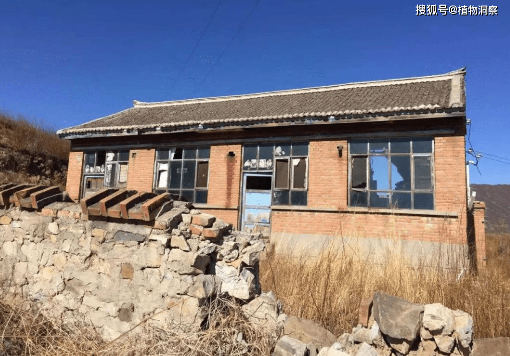 农村宅基地可以交易？咋回事？一起来看看<strong></p>
<p>贵金属交易咋回事</strong>！