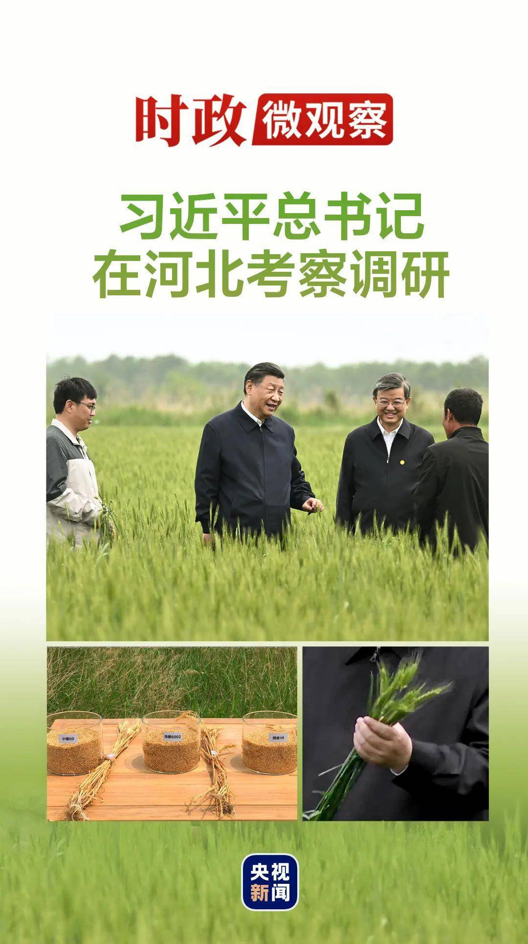 时政微观察丨如何搞好特色农业<strong></p>
<p>镁价格</strong>，总书记划重点