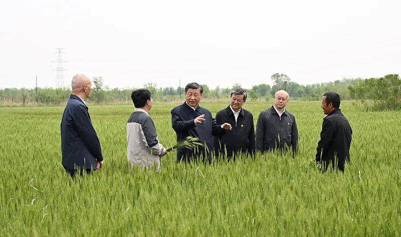 时政微观察丨如何搞好特色农业<strong></p>
<p>镁价格</strong>，总书记划重点