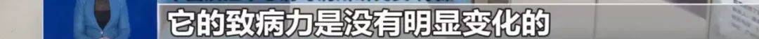 国内还会出现规模性疫情吗<strong></p>
<p>最新疫情</strong>?最新回应