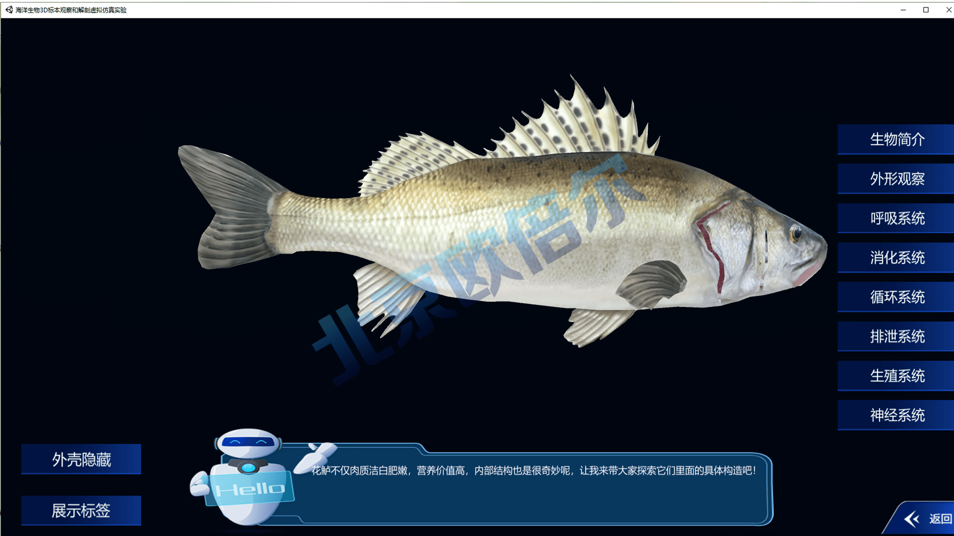 海洋生物虚拟仿真：海洋生物3D标本馆虚拟仿真软件