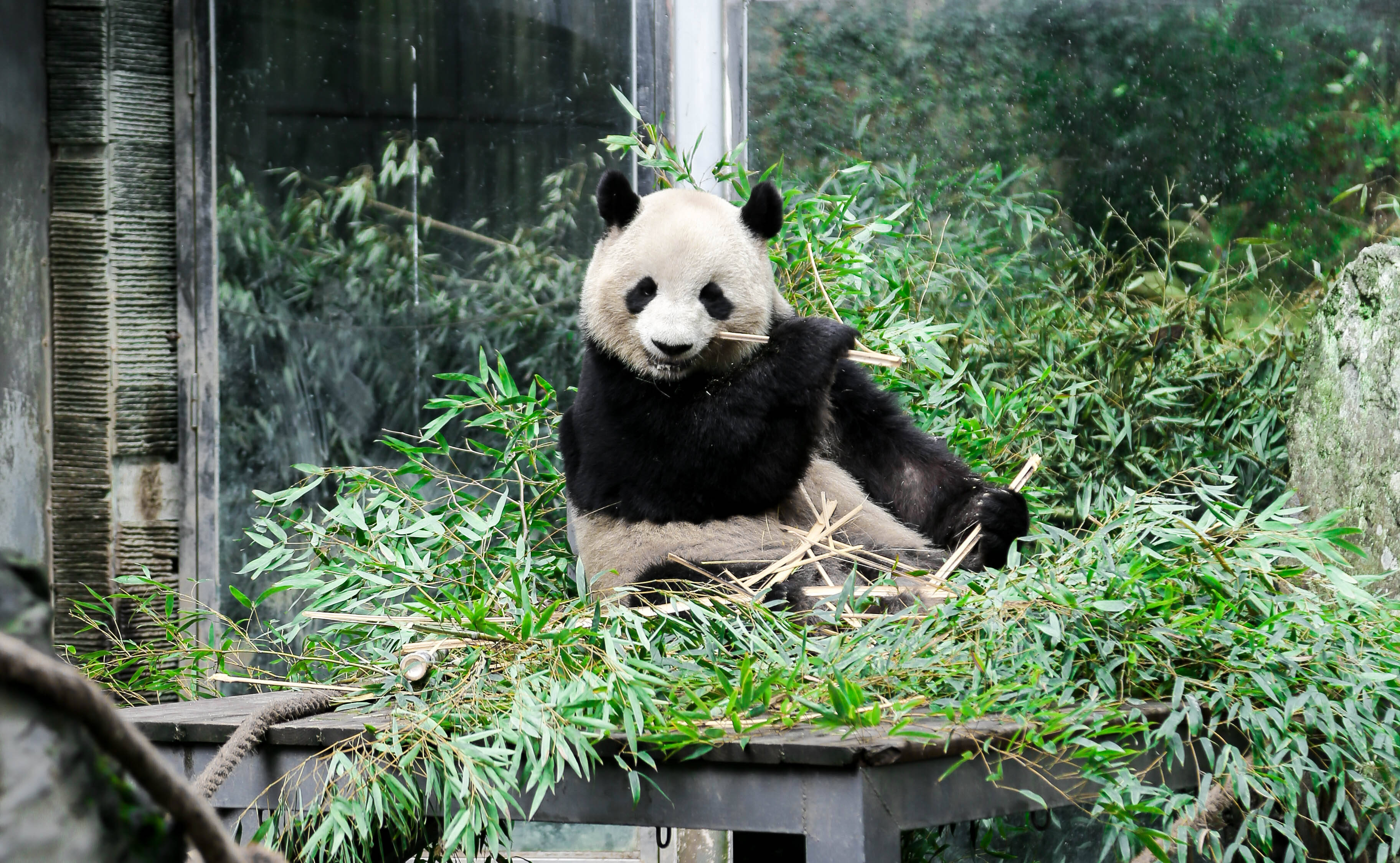 聚师网科技讯：从生理到心理<strong></p>
<p>币讯网</strong>，你为何无法入睡？