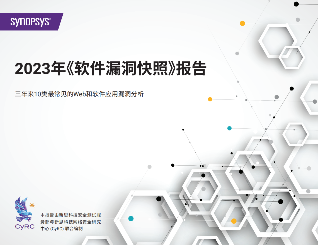 38页|2023年软件漏洞快照报告（附下载）