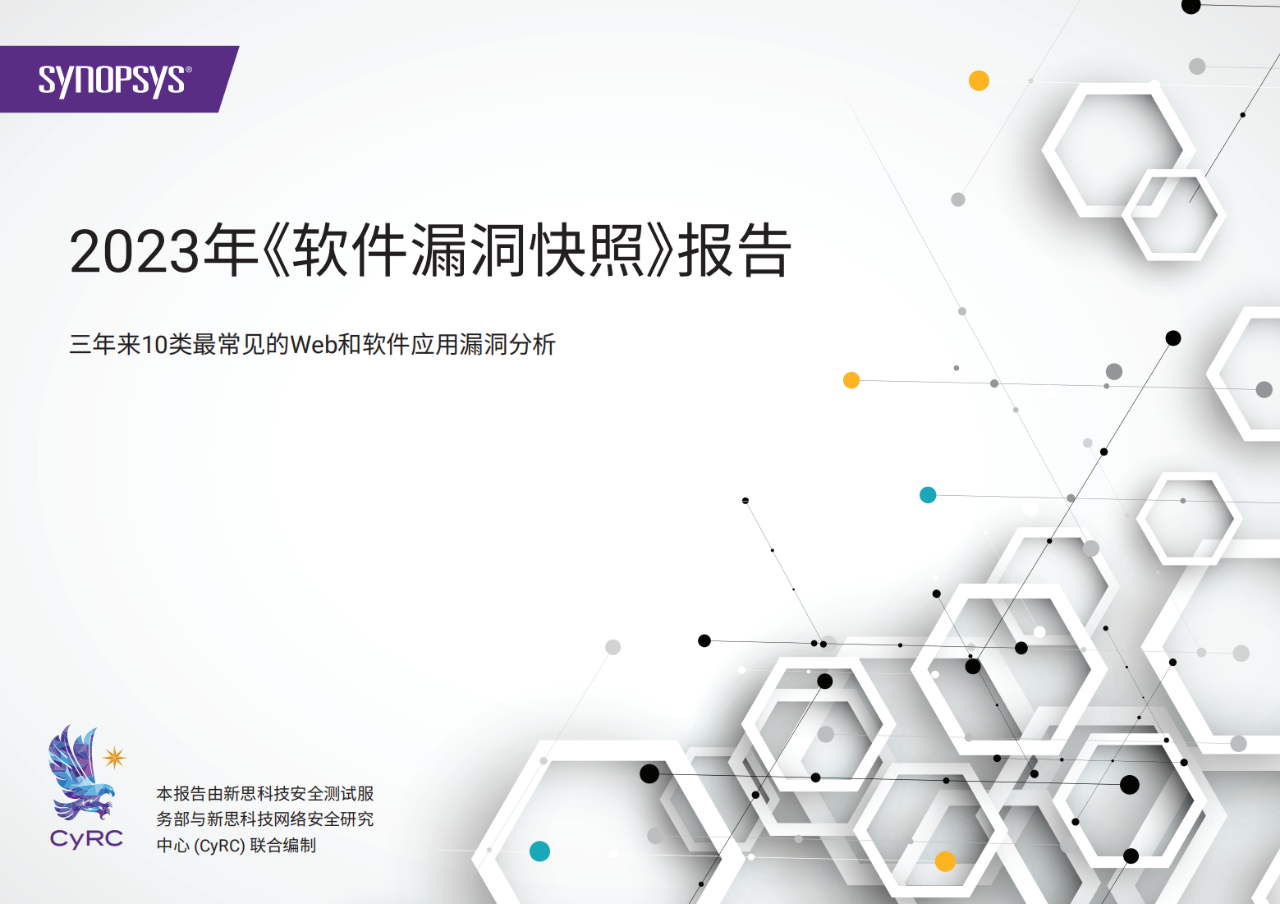 38页|2023年软件漏洞快照报告（附下载）