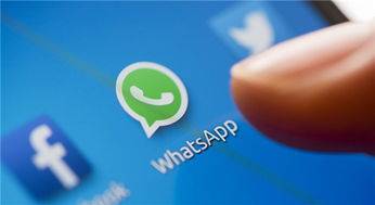 WhatsApp用户分类软件有什么用<strong></p>
<p>软件漏洞分类</strong>？
