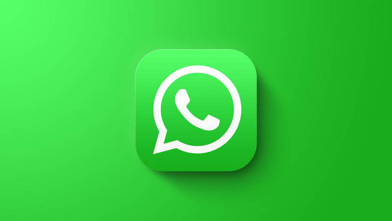 关于WhatsApp用户分类软件你知道吗<strong></p>
<p>软件漏洞分类</strong>？