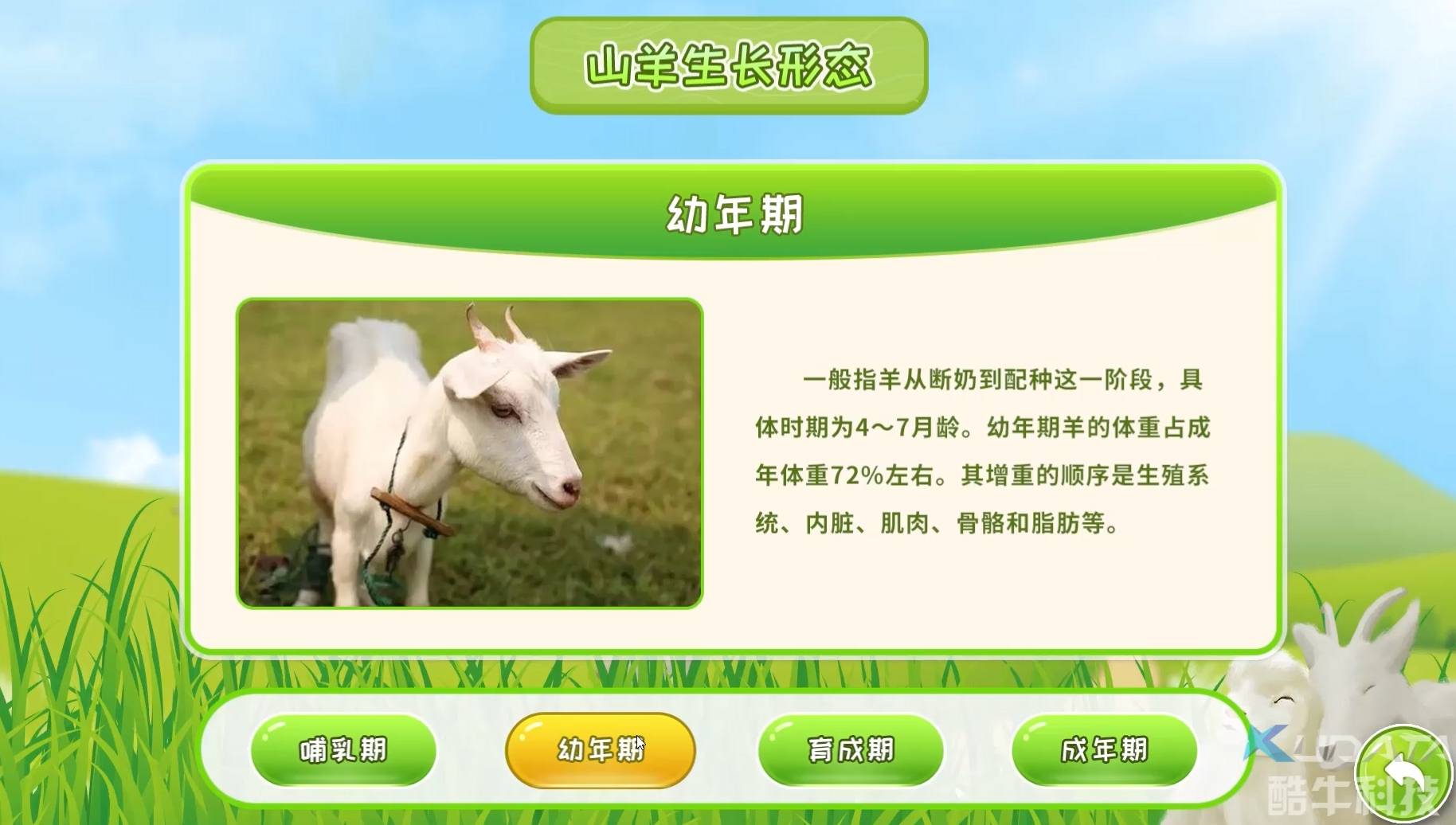 山羊生命周期 查询软件 农业展厅