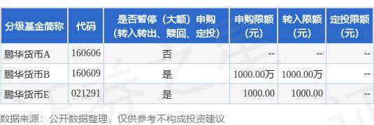 公告速递：鹏华货币基金E类基金份额暂停大额申购、转换转入和定期定额投资业务