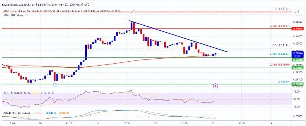 XRP 价格再次转红：加密货币的下一步是什么<strong></p>
<p>货币价格</strong>？