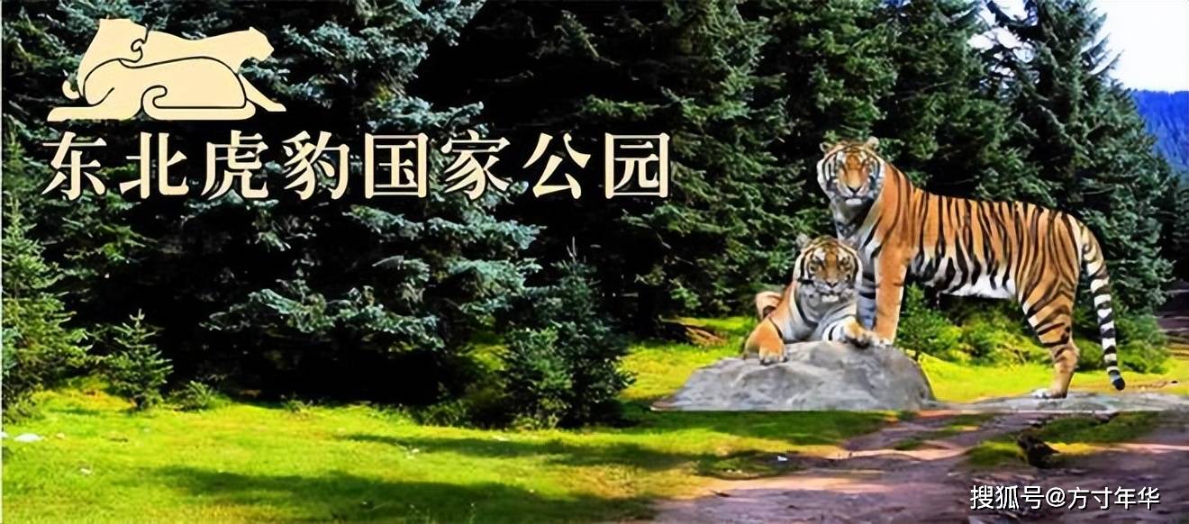 5月将发行多枚纪念币<strong></p>
<p>eth币吧</strong>，哪枚更值得收藏？快来看看吧
