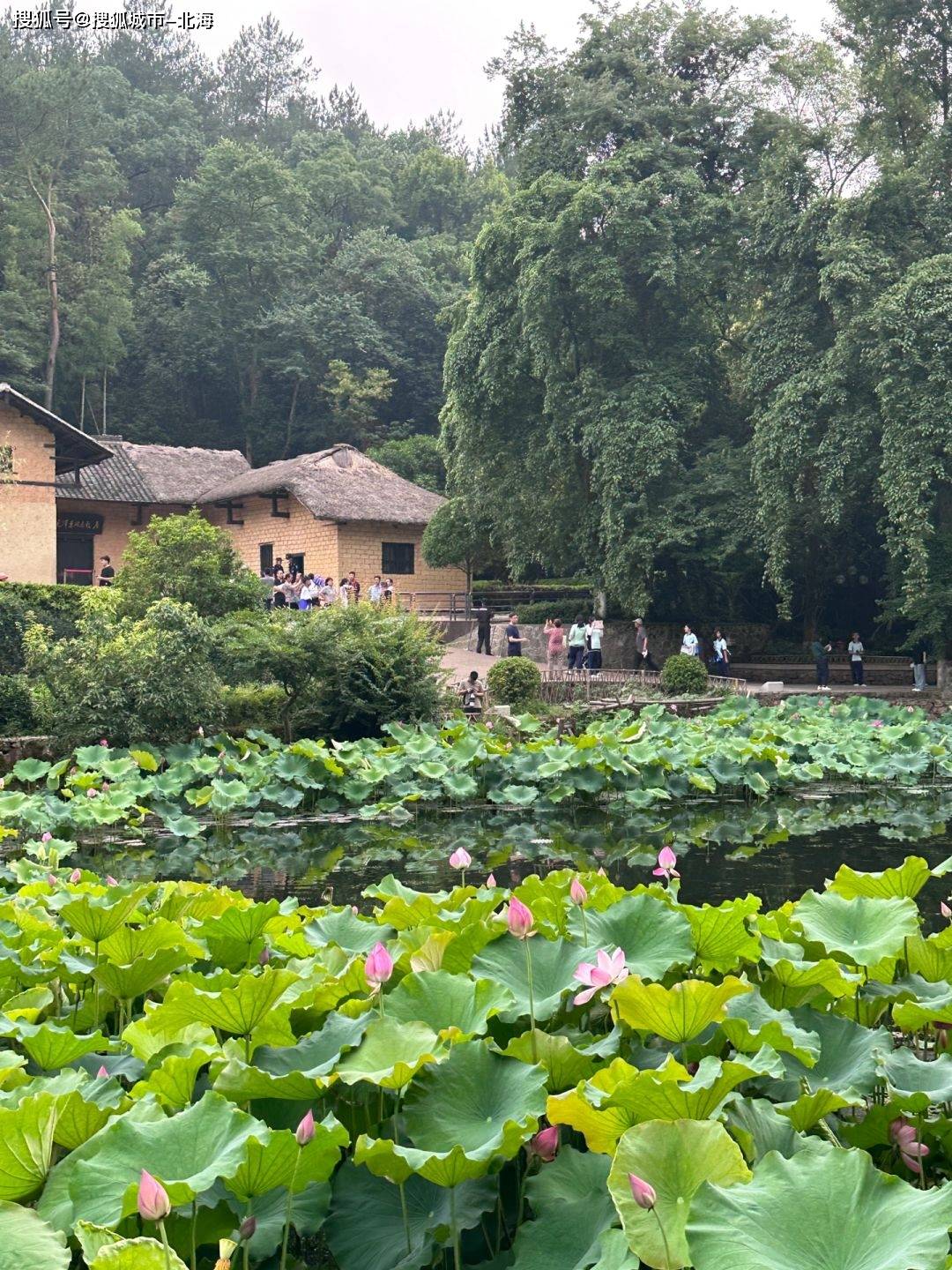 最新十一韶山旅游价格是多少<strong></p>
<p>eth最新价格</strong>？最新十一去韶山旅行社价格