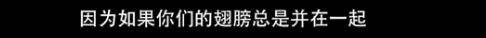 他们那么幸福恩爱<strong></p>
<p>v币</strong>，怎么突然离婚了……