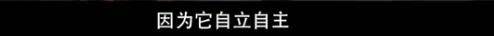 他们那么幸福恩爱<strong></p>
<p>v币</strong>，怎么突然离婚了……