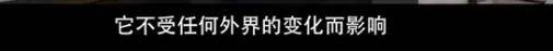 他们那么幸福恩爱<strong></p>
<p>v币</strong>，怎么突然离婚了……