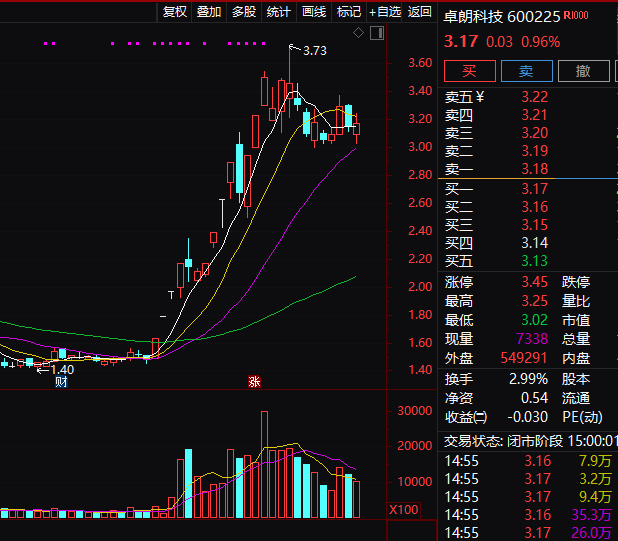 连续5年造假！这只A股<strong></p>
<p>人为软件</strong>，面临强制退市！