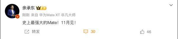 华为Mate 70系列即将发布<strong></p>
<p>货币升值</strong>，余承东称其为“史上最强大的Mate”