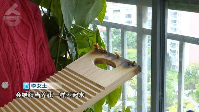 “可以蒸蛋”！昆明一女子家中搓衣板上长菌<strong></p>
<p>货币期权又称为</strong>，品种竟是……