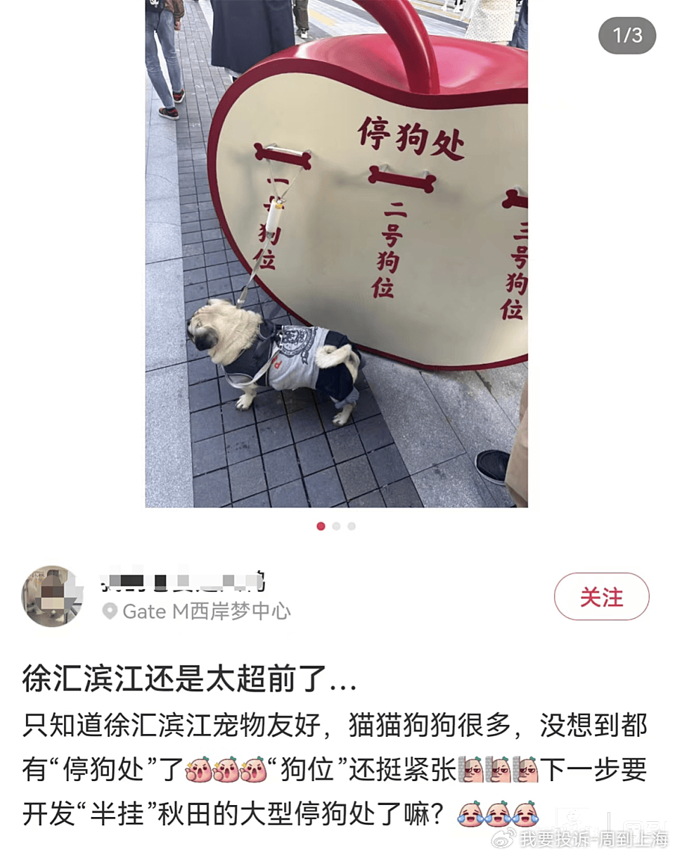 上海现“停狗处”太超前？记者实探：不止一处<strong></p>
<p>货币期权又称为</strong>，有人点赞有人忧