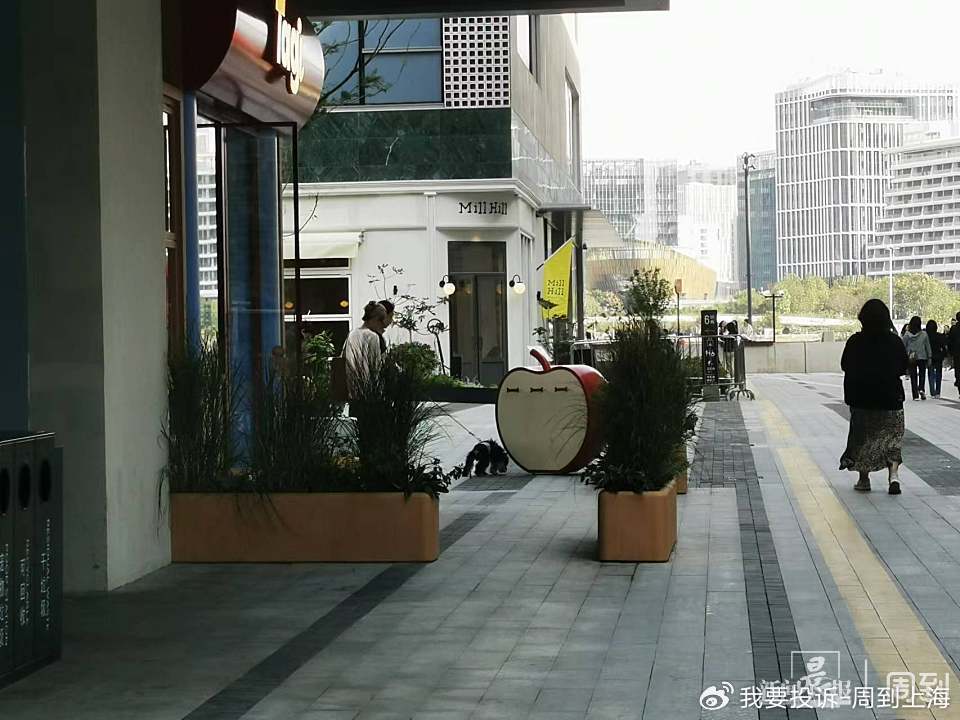 上海现“停狗处”太超前？记者实探：不止一处<strong></p>
<p>货币期权又称为</strong>，有人点赞有人忧