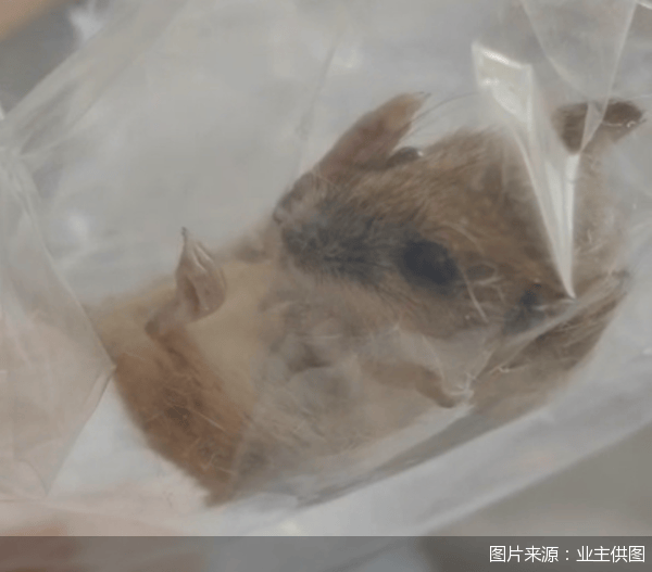 老鼠乱窜、直饮水发黄<strong></p>
<p>怎么挖比特币</strong>，北京业主千万元买的和锦诚园居然是这样