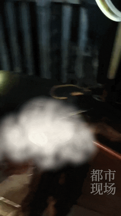 江西一高校惊现野猪<strong></p>
<p>比特币矿场</strong>,最后在食堂被成功抓获