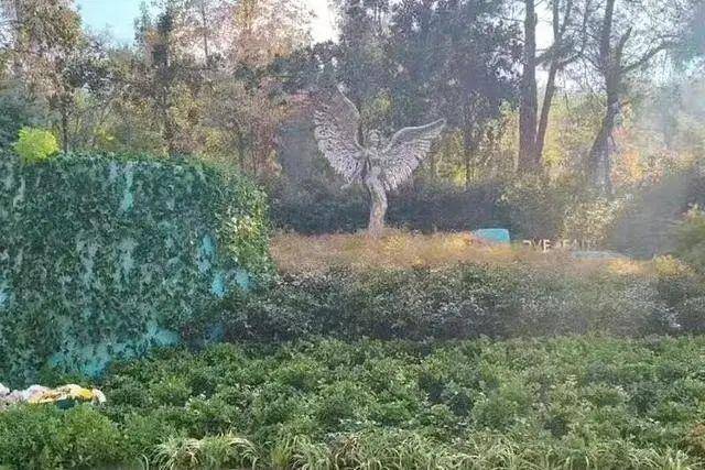 李玟武汉墓地杂草丛生<strong></p>
<p>关于防范比特币风险的通知</strong>？其姐姐发文回应