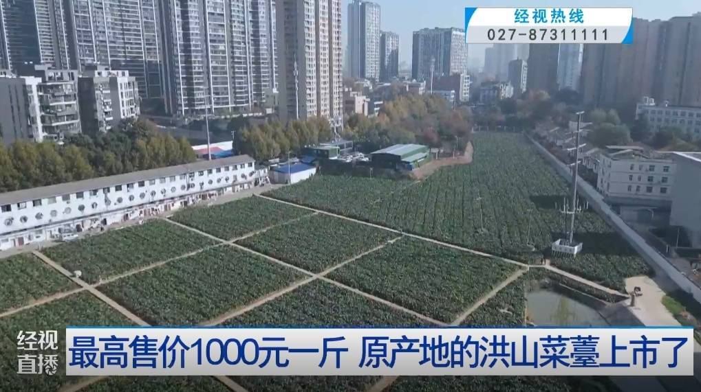 武汉人爱吃！最高1000元一斤<strong></p>
<p>比特币价格回落</strong>，供不应求